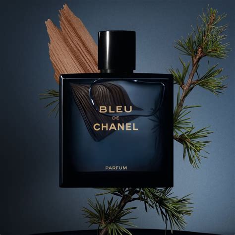 parfum homme bleu de chanel|bleu De Chanel 100ml prix.